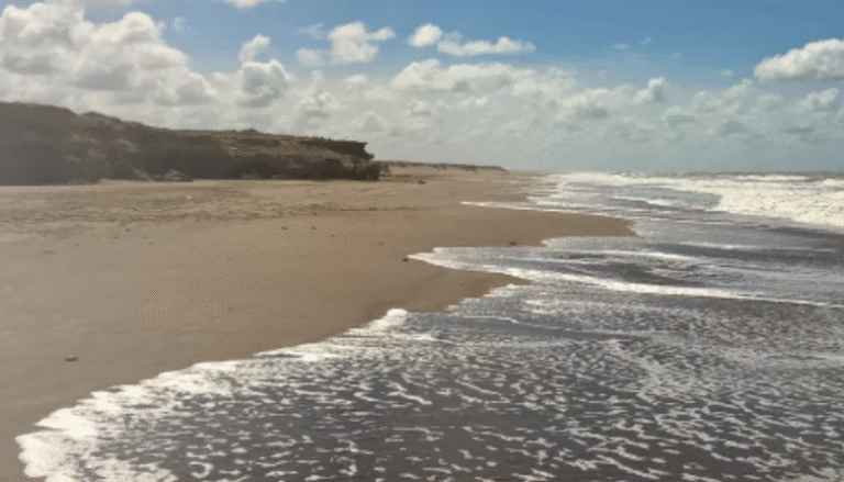 Dónde están Los Ángeles en la costa argentina y qué ofrecen 8 Dónde están Los Ángeles en la costa argentina y qué ofrecen