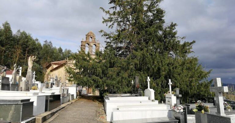 entrada principal cementerio san martin arboles arboles