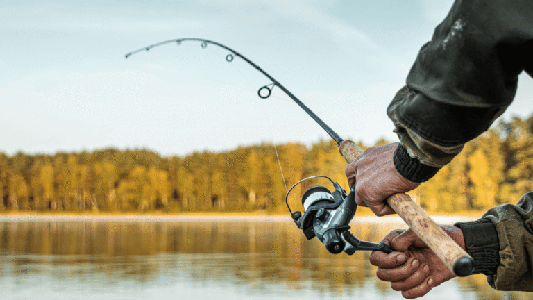 Qué requisitos necesito para obtener el permiso de pesca no federado