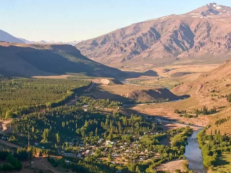 Dónde encontrar manzano amargo en Neuquén para cultivo y uso 8 Dónde encontrar manzano amargo en Neuquén para cultivo y uso
