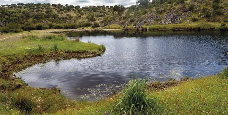 paisaje natural y montana en el candil