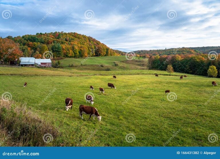 Qué Ofrece El Predio Rural Río Cuarto Para Actividades Campestres 4 Qué Ofrece El Predio Rural Río Cuarto Para Actividades Campestres