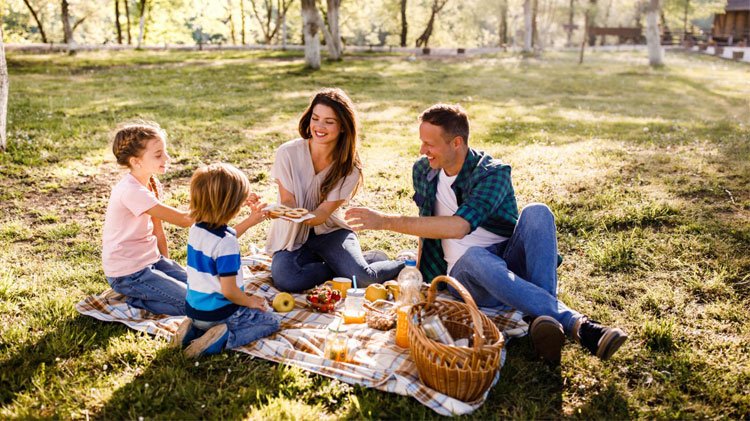 parque con familias disfrutando picnic al aire libre