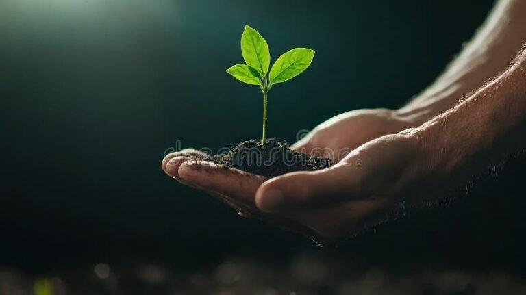 Cómo hacer un proyecto sobre el medio ambiente paso a paso 3 Cómo hacer un proyecto sobre el medio ambiente paso a paso