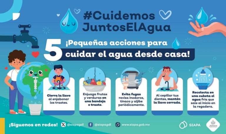 Qué pasos seguir después de recibirme de técnico en seguridad e higiene 2 que pasos seguir despues de recibirme de tecnico en seguridad e higiene
