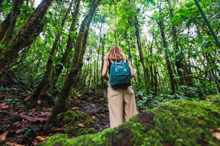 Qué Actividades Se Pueden Hacer en el Parque Nacional Santa Teresa 4 senderistas explorando bosque en parque nacional