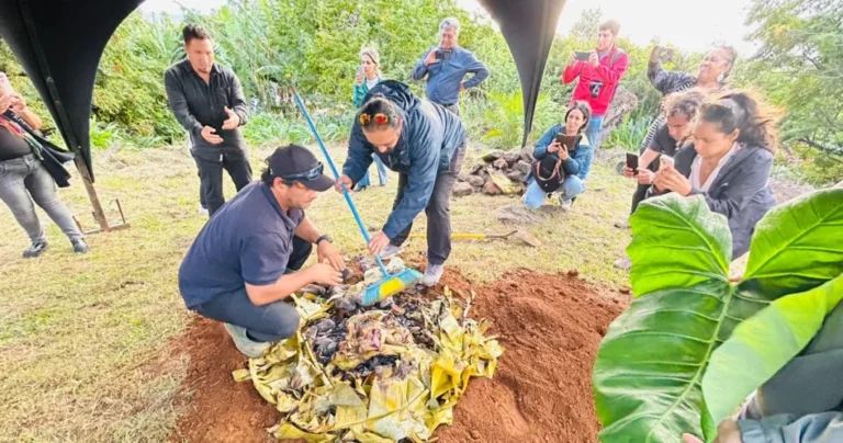 turistas y locales trabajando juntos en rapa nui